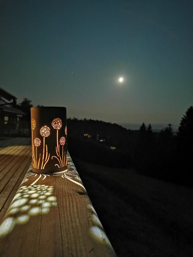 Das Koralpenchalet...Sonne, Wald, Natur! Trahutten Eksteriør billede