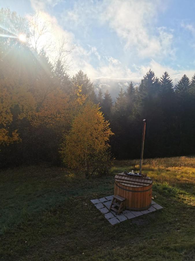 Das Koralpenchalet...Sonne, Wald, Natur! Trahutten Eksteriør billede